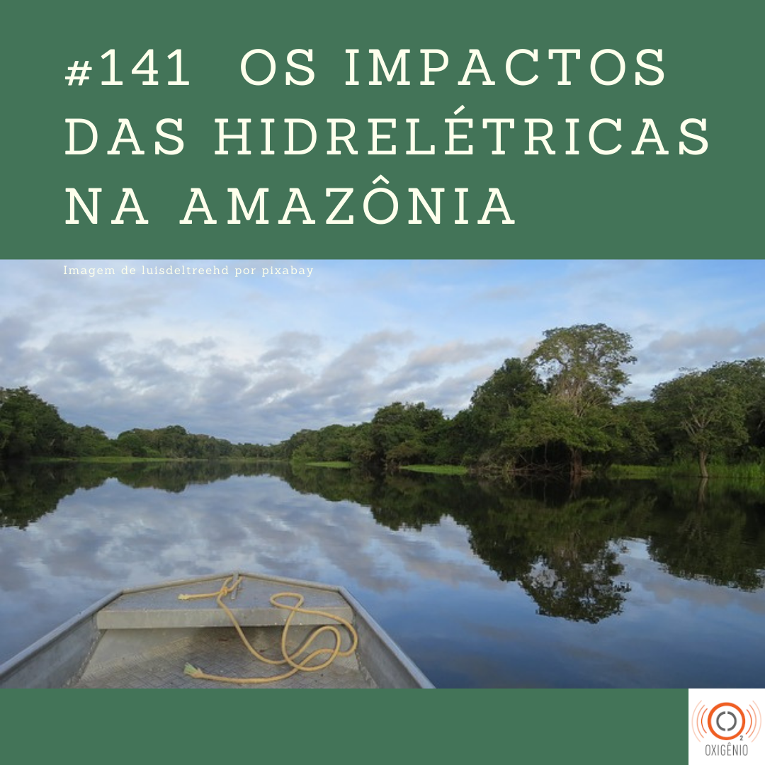 http://www.sec.unicamp.br/wp-content/uploads/2022/04/Hidreletricas-na-Amazonia.png
