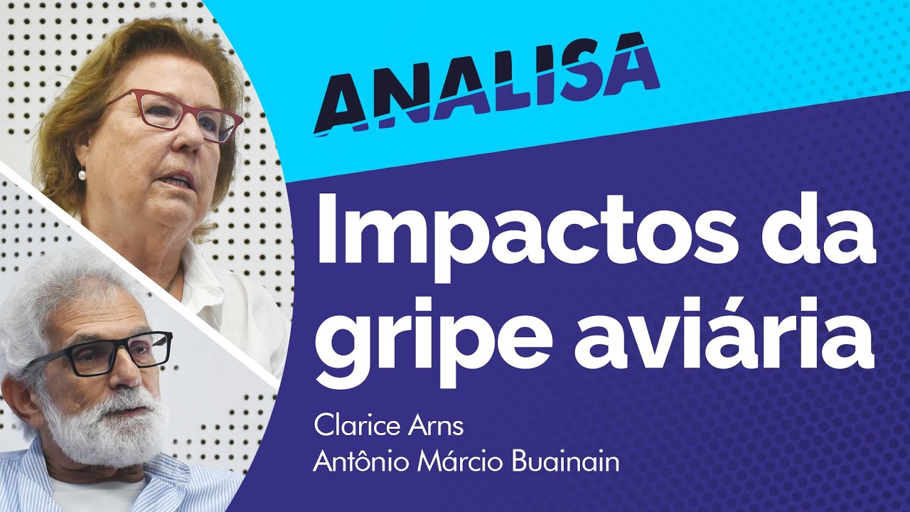 http://www.sec.unicamp.br/wp-content/uploads/2025/06/maxresdefault3.jpg